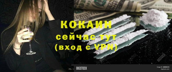 бошки Алексин